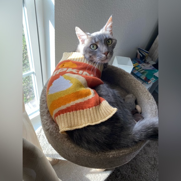 Meet your Posher, Christine - Picture 3 of 11